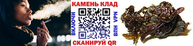 ГАШ hashish  блэк спрут ТОР  Бор 
