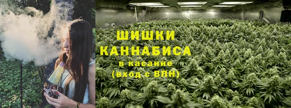 шишки Переславль-Залесский