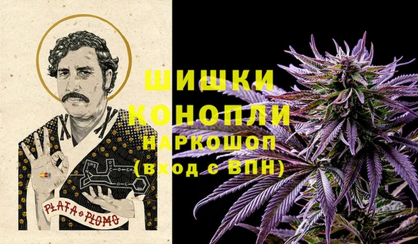 шишки Переславль-Залесский