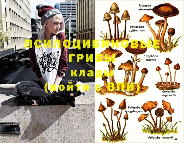 MESCALINE Дмитров