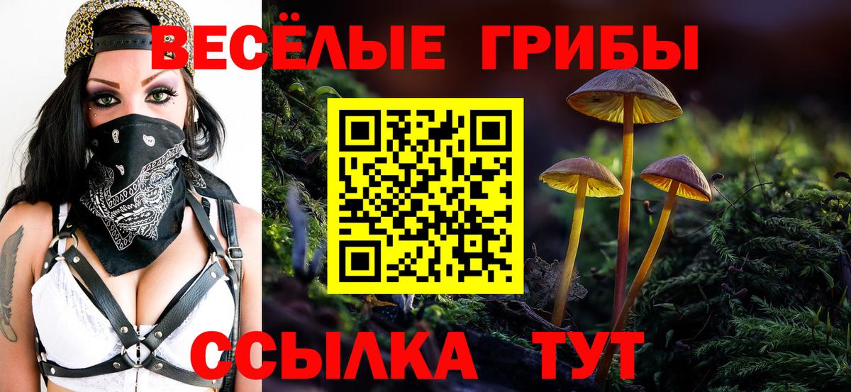 Галлюциногенные грибы Psilocybe Бор