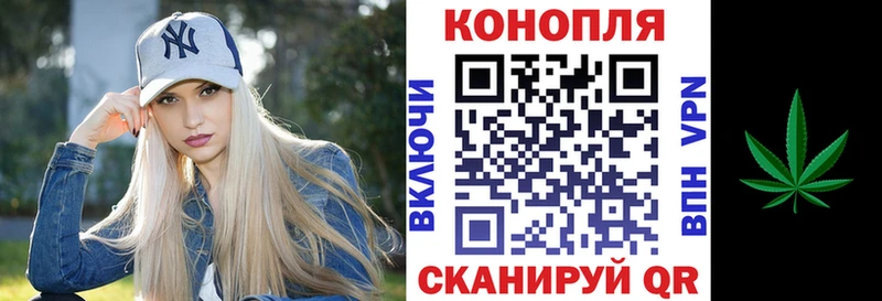 Канабис гибрид  Бор 